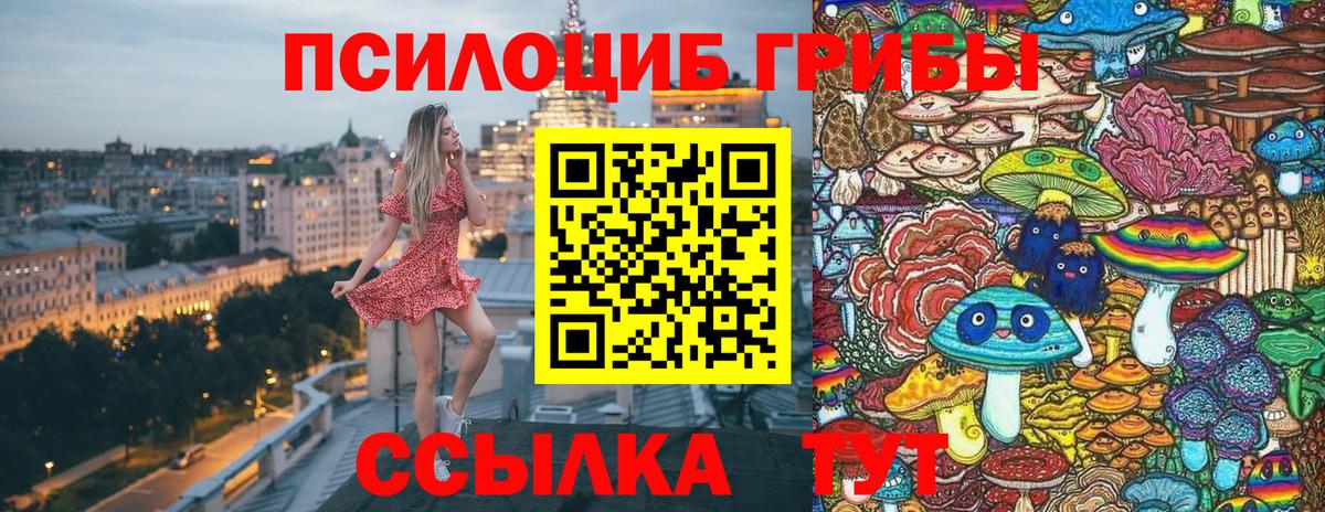 Галлюциногенные грибы мицелий  Вход с VPN  Избербаш 